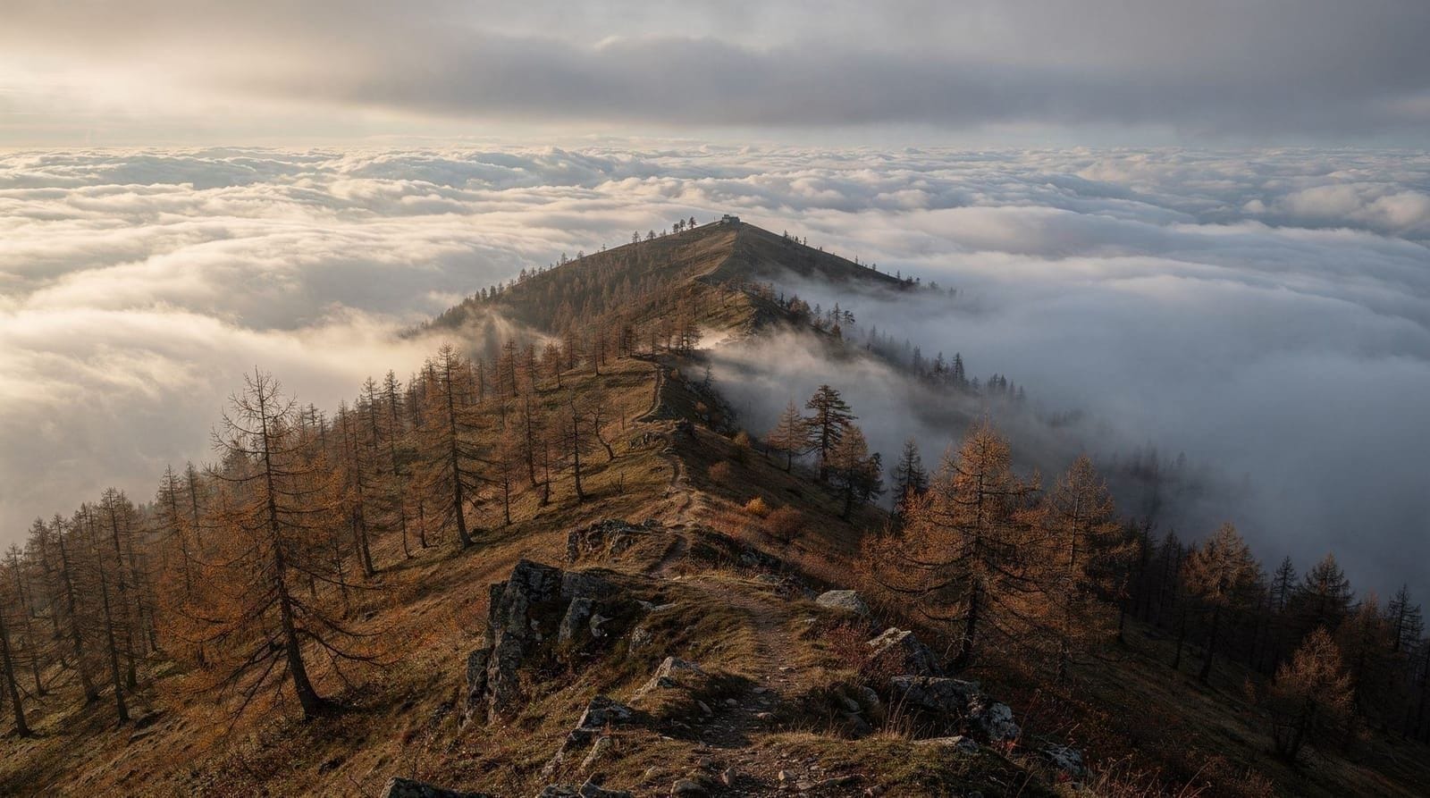 A day on the Rigi in November