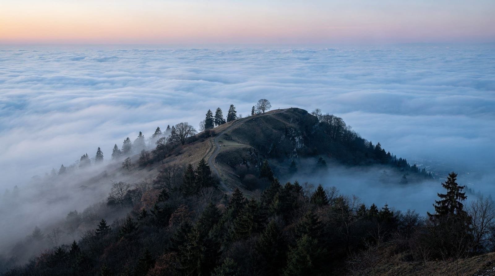 A morning on the Uetliberg