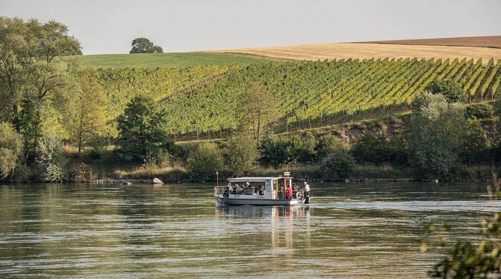 Rhine boat trips from Schaffhausen to Stein am Rhein and Constance