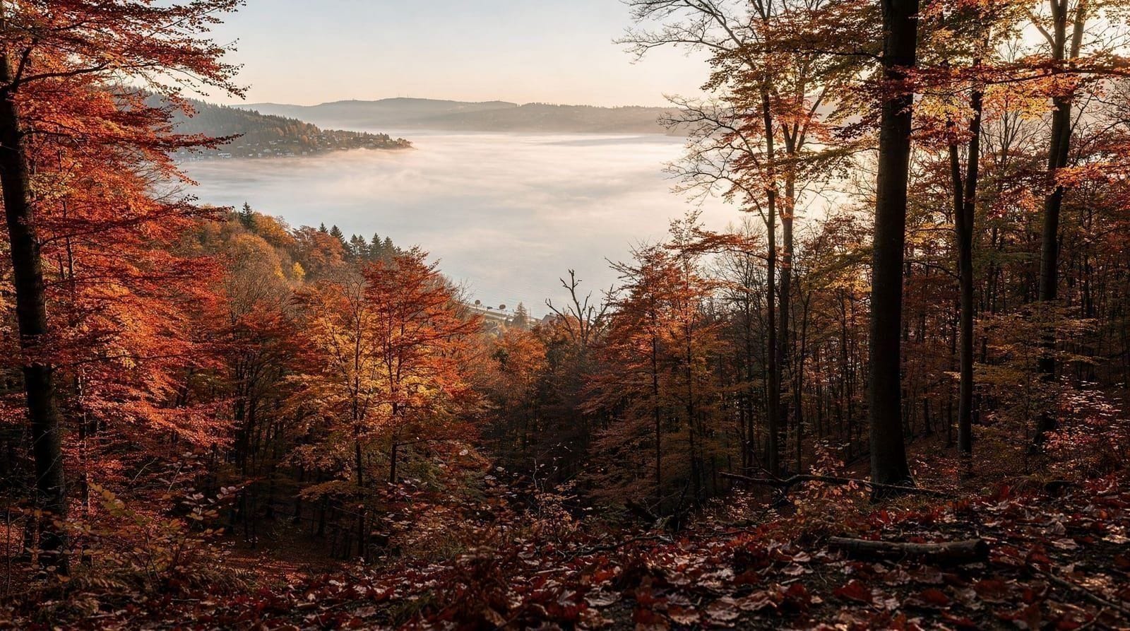 Zurich in autumn