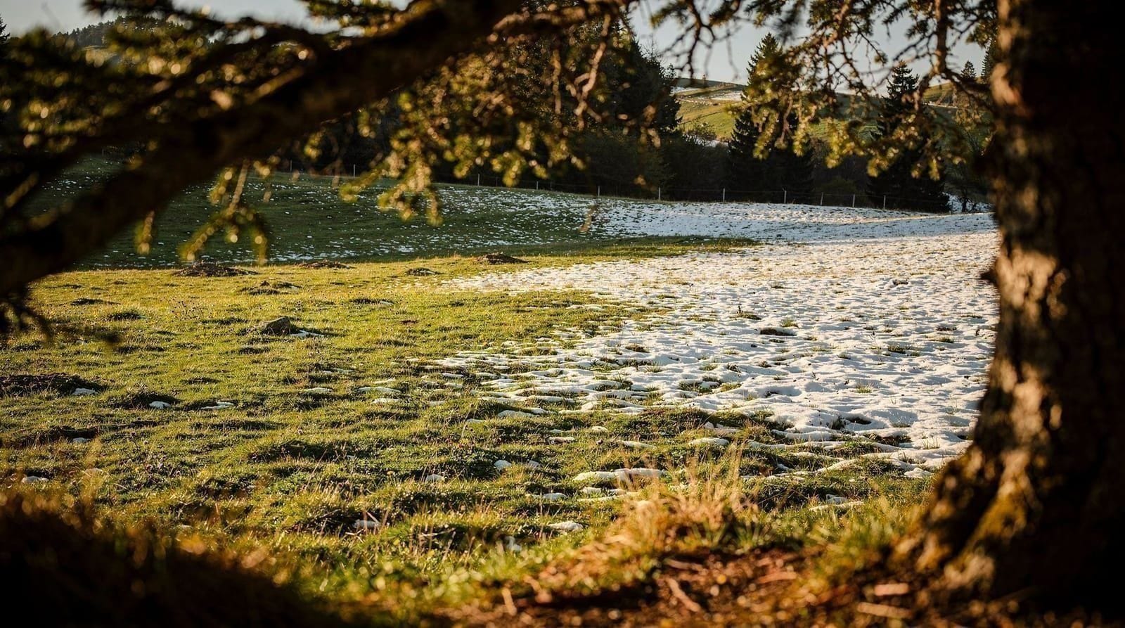 Zurich in spring: what to expect, month by month