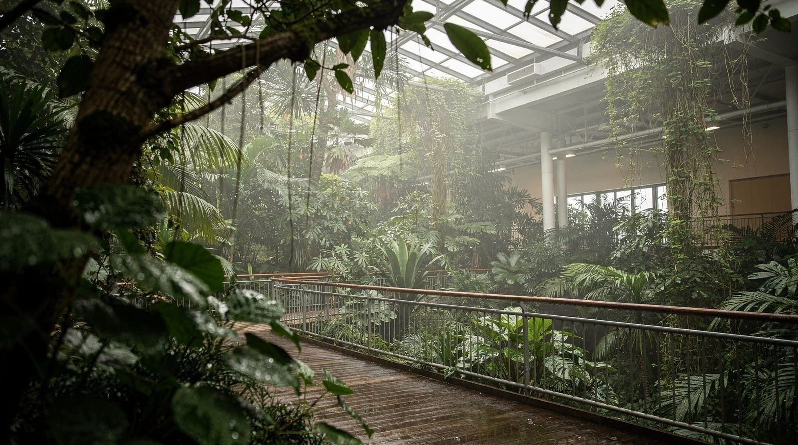 Zürich Zoo and the Masoala rainforest hall
